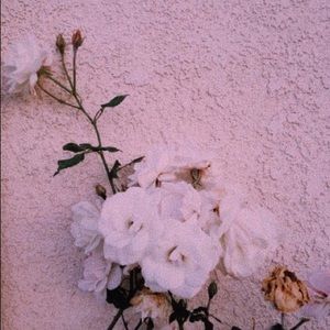 Meet your Posher, Aliyah